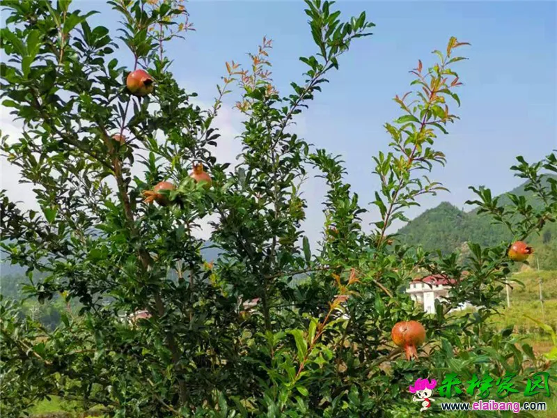 微信图片_20190723230123.webp