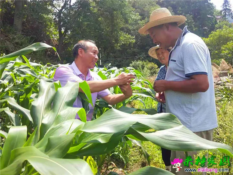 微信图片_20190724213434.webp