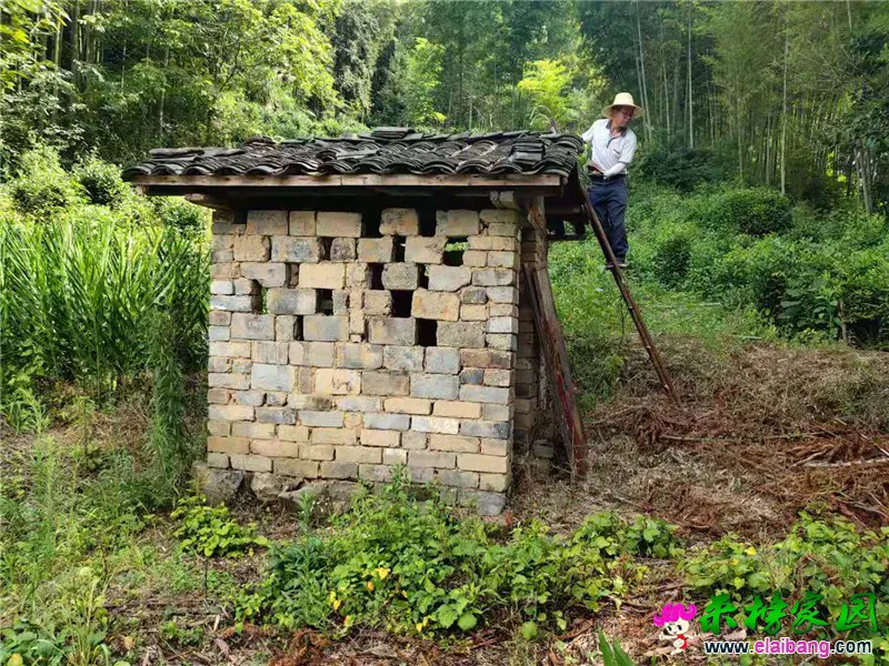 微信图片_20190725204238.webp