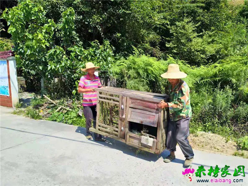 微信图片_20190725204246.webp