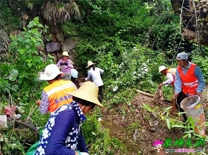 微信图片_20190725204242.webp