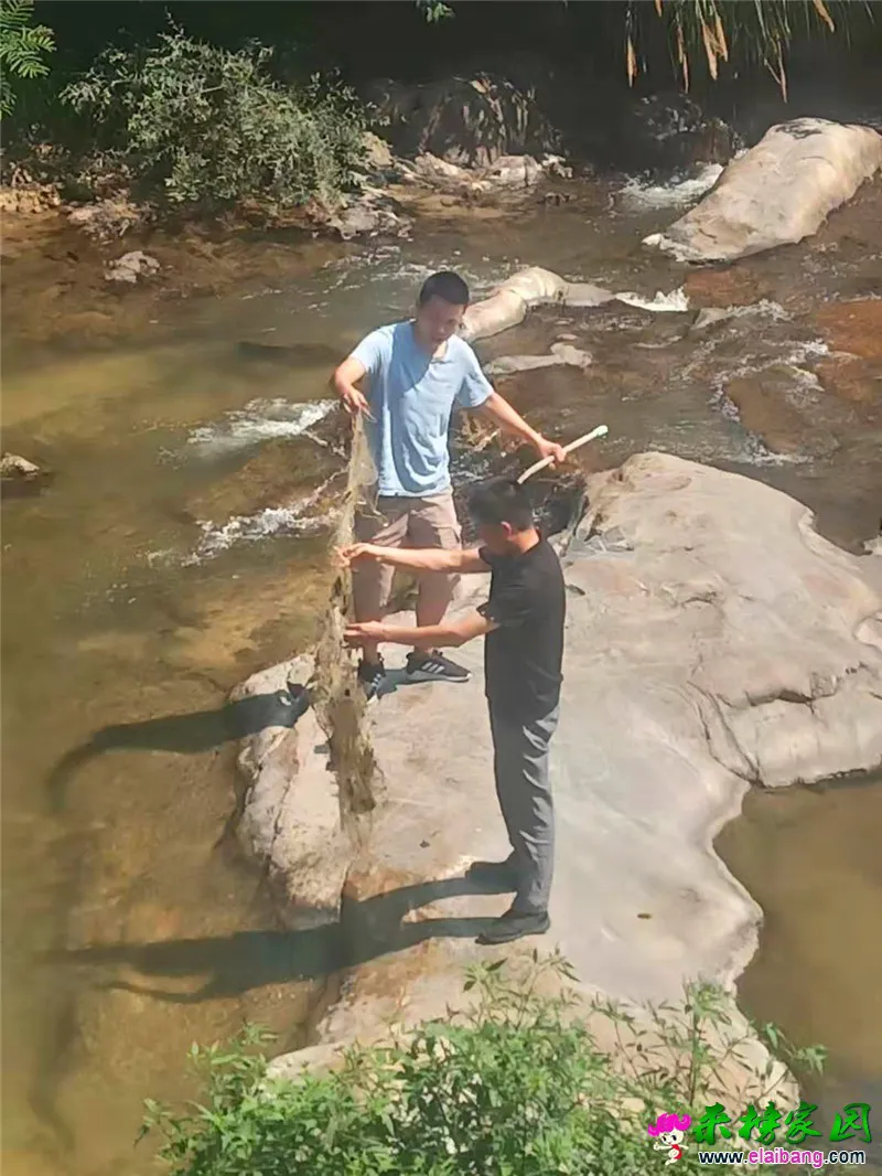 微信图片_20190730210446.webp