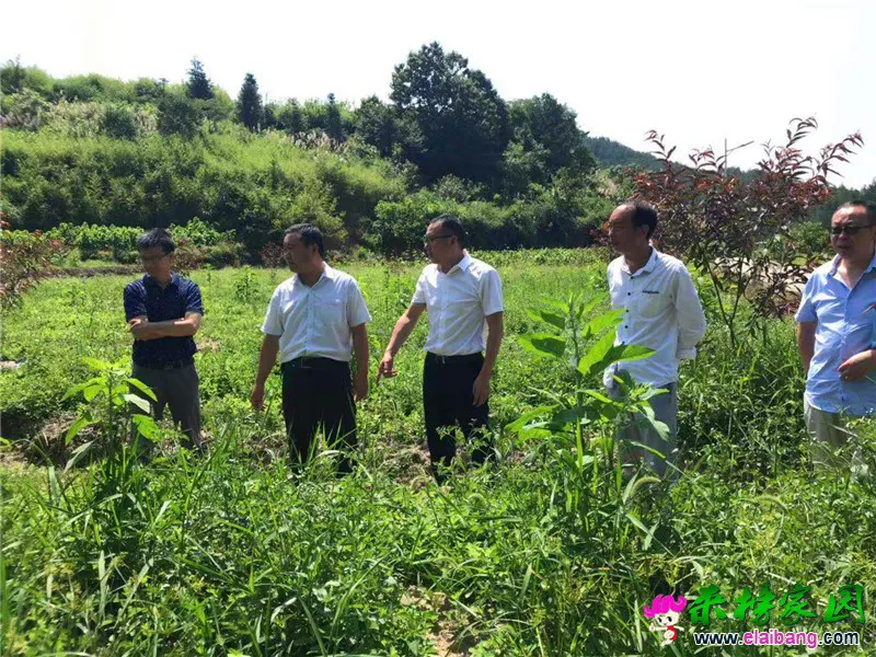 微信图片_20190730210457.webp