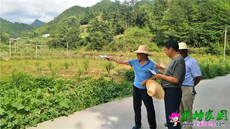 微信图片_20190731203004.webp