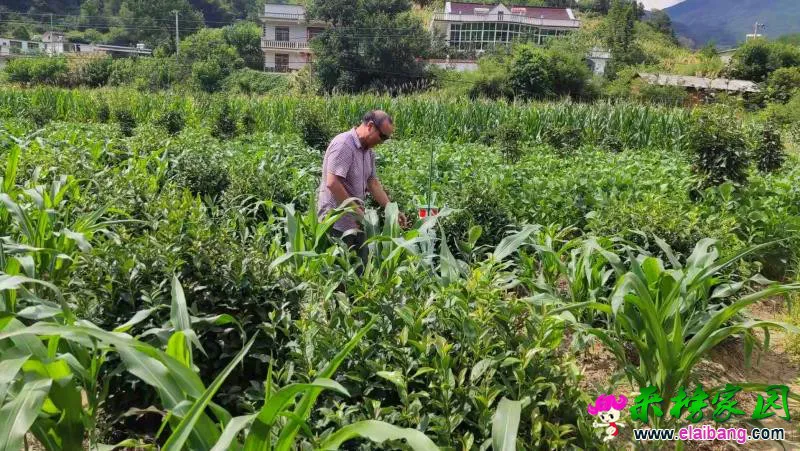 微信图片_20190731203131.webp