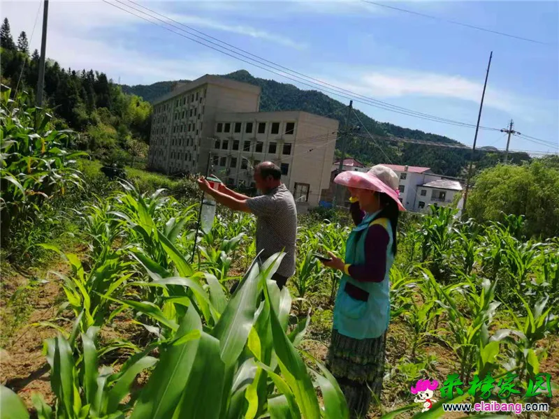 微信图片_20190731203146.webp