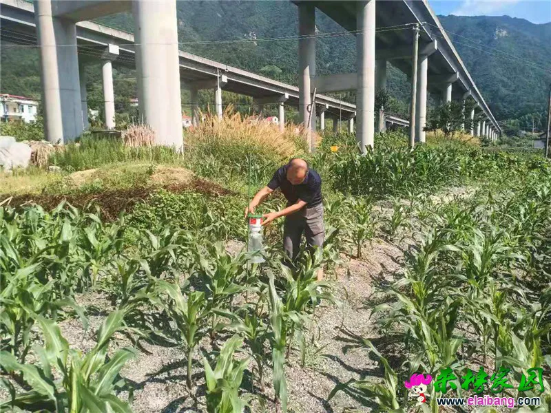微信图片_20190801180838.webp