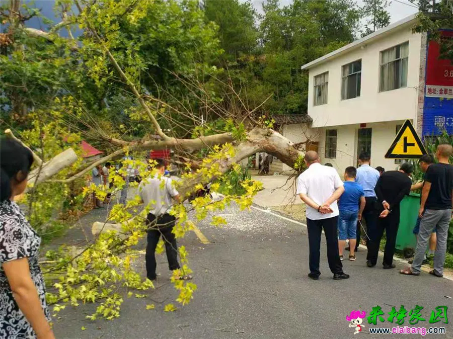 微信图片_20190805173306.webp