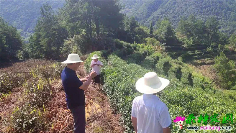 微信图片_20190805194514.webp