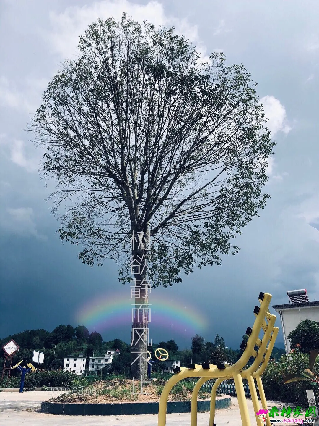 微信图片_20190806162532.webp