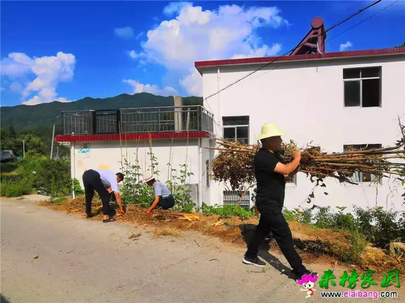 微信图片_20190806214509.webp