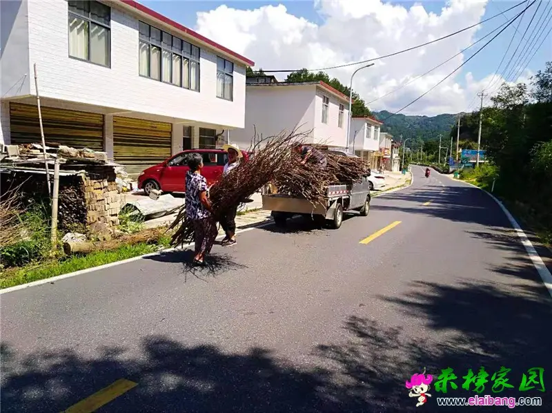 微信图片_20190806214518.webp