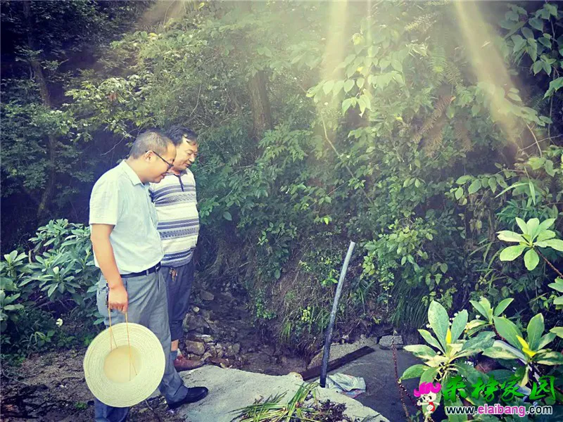 微信图片_20190807200638.webp