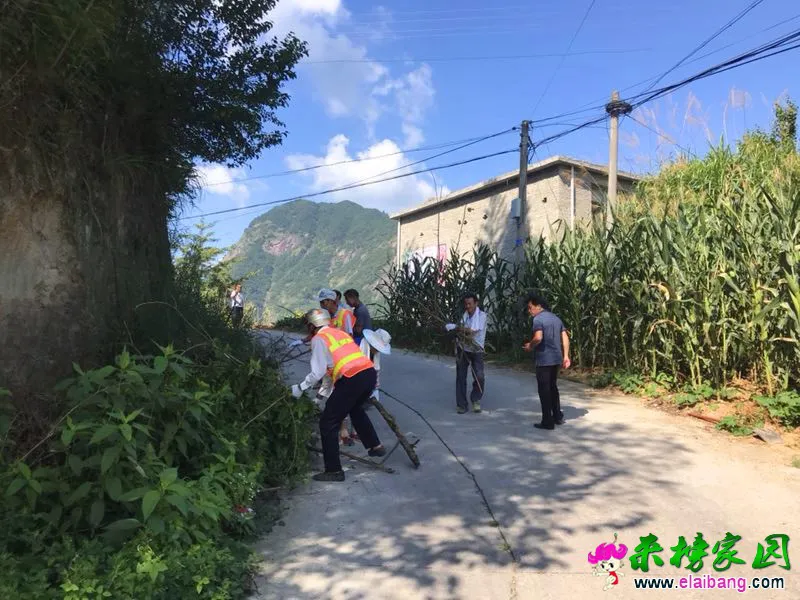 微信图片_20190807200651.webp