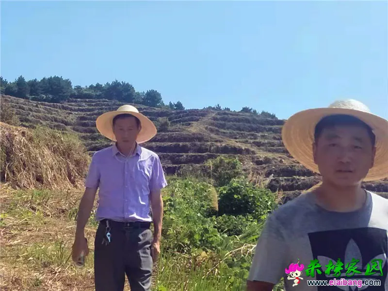 微信图片_20190807200700.webp