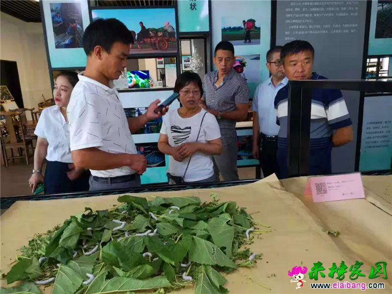 微信图片_20190808205500.webp