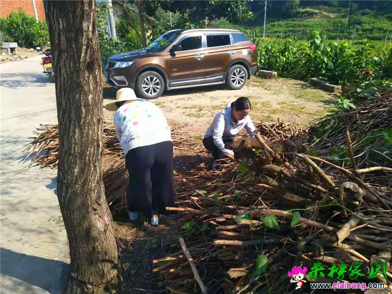 微信图片_20190808205516.webp