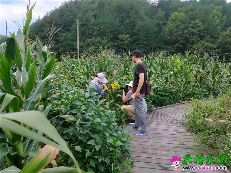 微信图片_20190809223607.webp