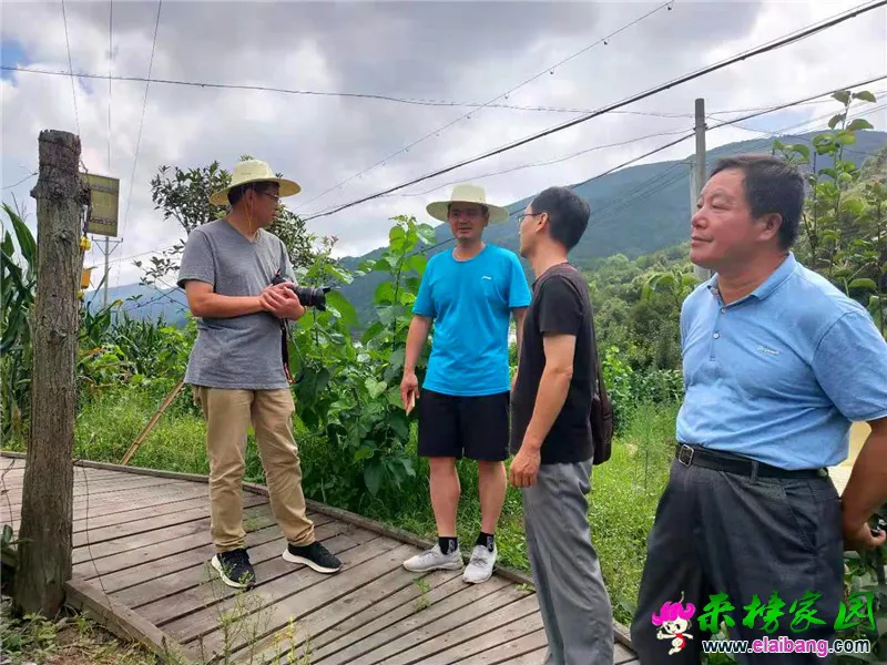 微信图片_20190809223604.webp