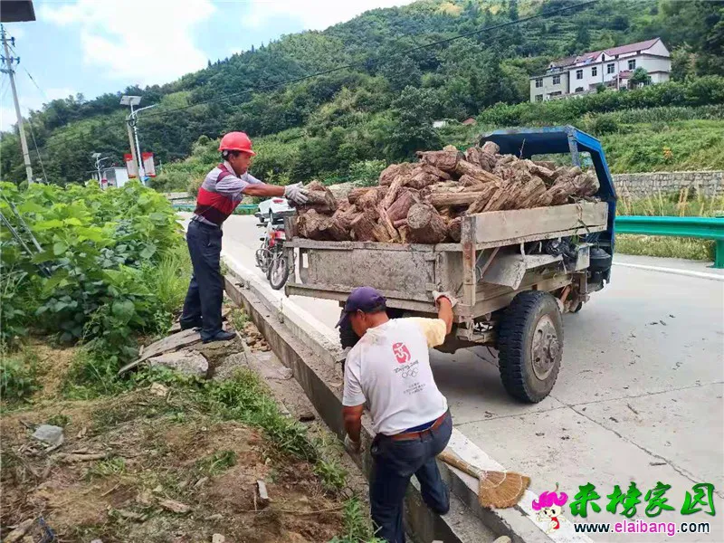 微信图片_20190809223645.webp
