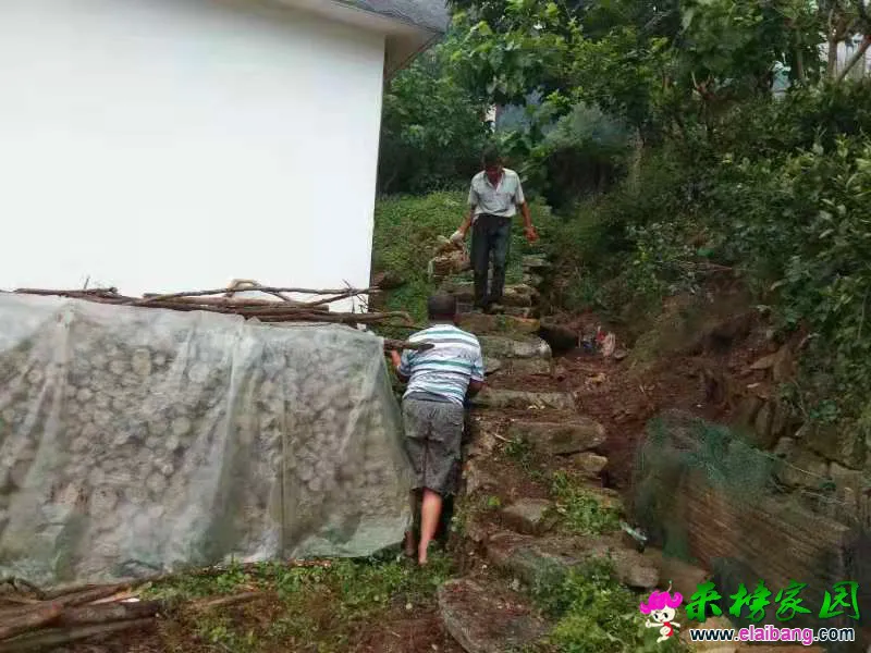 微信图片_20190810203444.webp