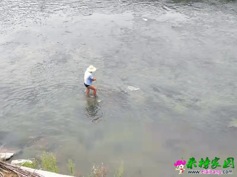 微信图片_20190812190306.webp