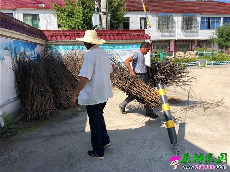 微信图片_20190813182433.webp