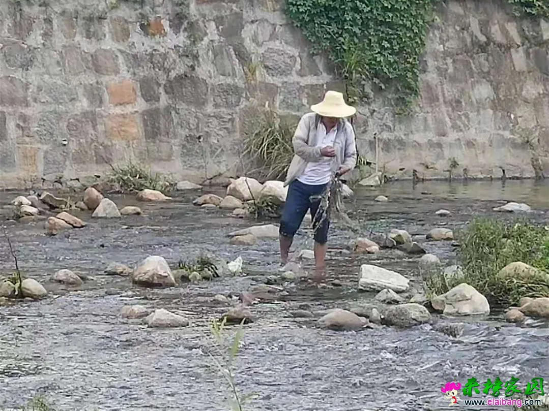 微信图片_20190815202016.webp