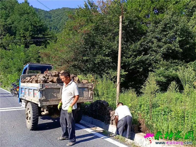 微信图片_20190816170346.webp