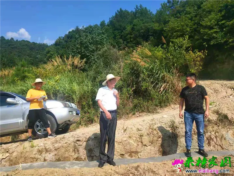 微信图片_20190816170400.webp