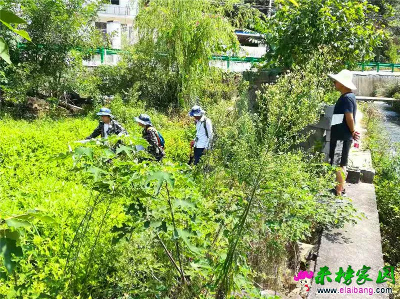 微信图片_20190818164934.webp