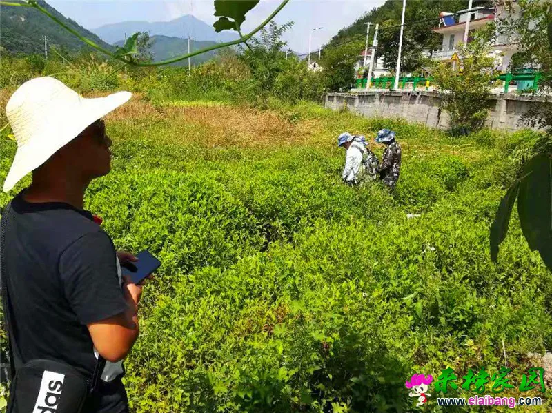 微信图片_20190818164936.webp