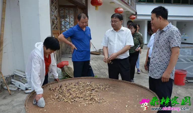360截图165504226711666.webp