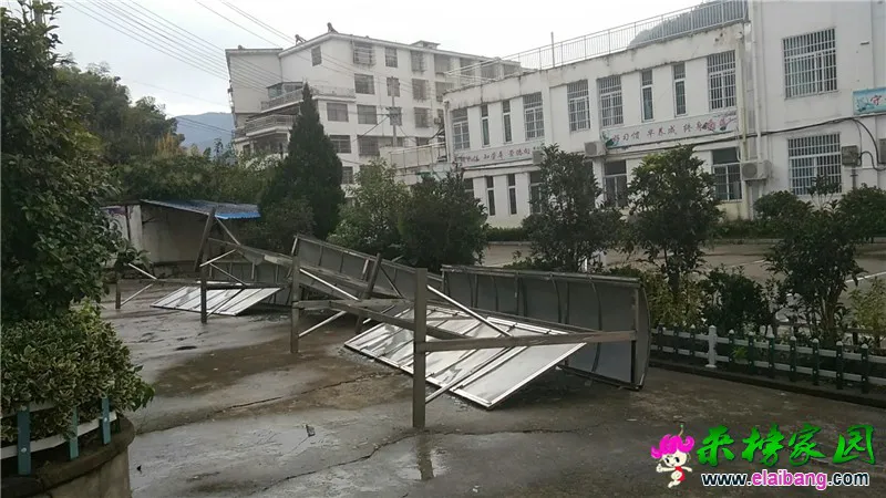微信图片_20190818201206.webp