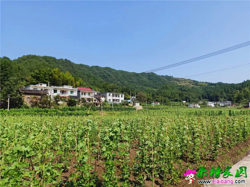 微信图片_20190819220052.webp