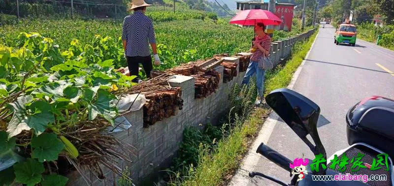 微信图片_20190819220054.webp