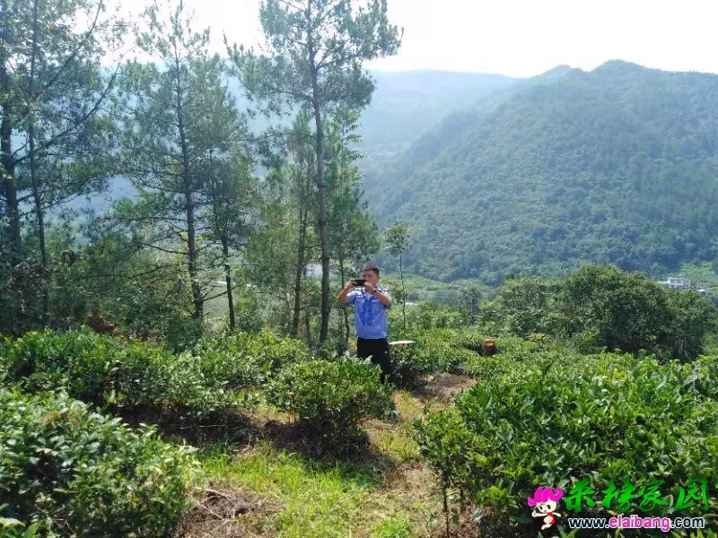 微信图片_20190821210726.webp