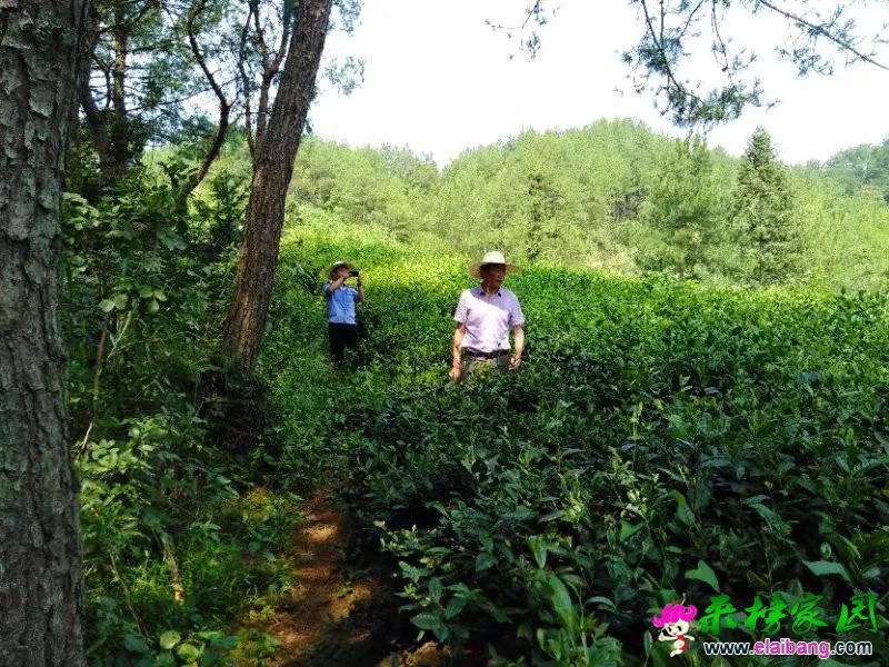 微信图片_20190821210729.webp