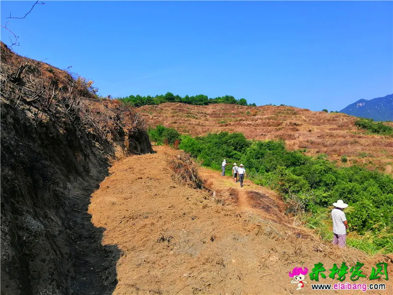 微信图片_20190821210740.webp