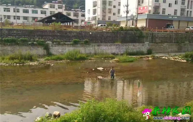 微信图片_20190822192142.webp
