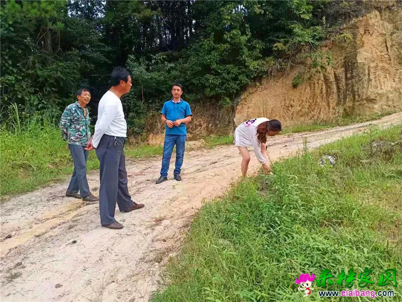 微信图片_20190822192202.webp