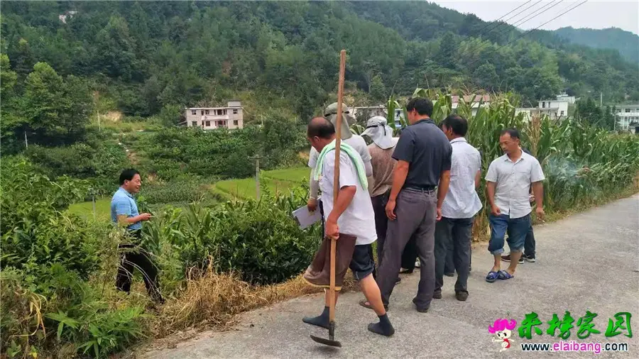 微信图片_20190823214117.webp