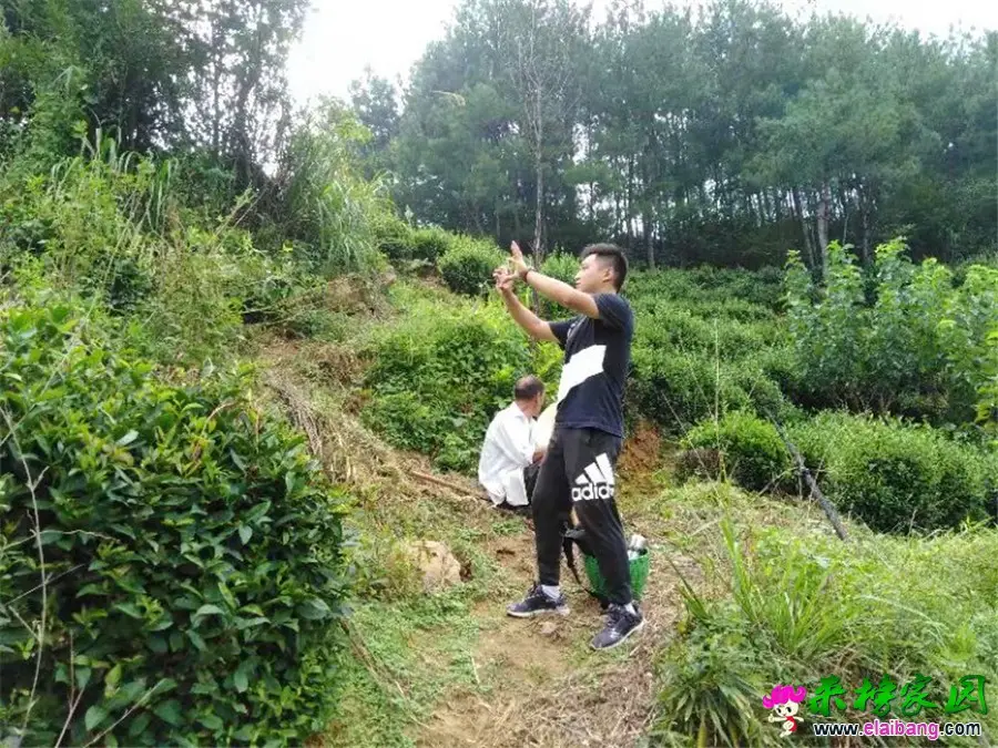 微信图片_20190823214143.webp