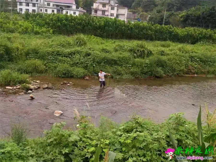 微信图片_20190823214149.webp