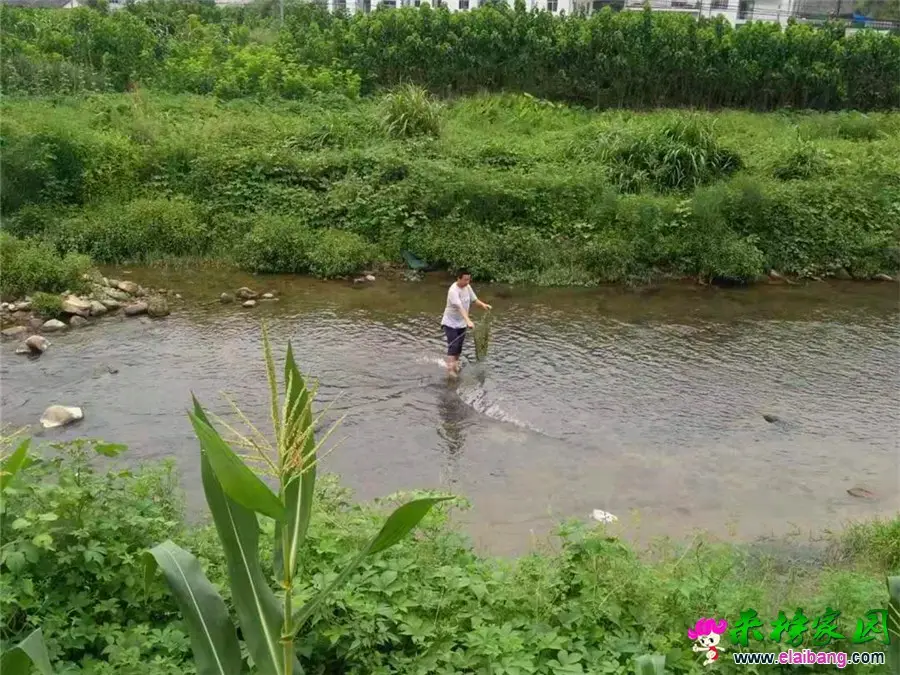 微信图片_20190823214152.webp