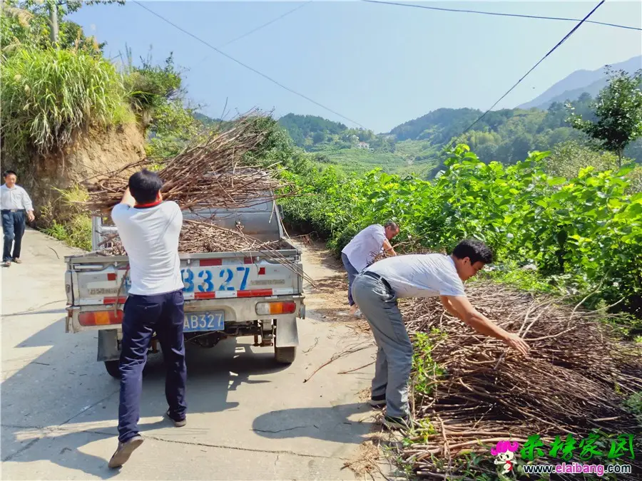 微信图片_20190823214156.webp