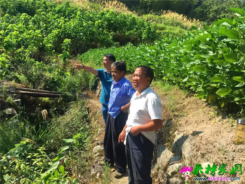 微信图片_20190824211114.webp