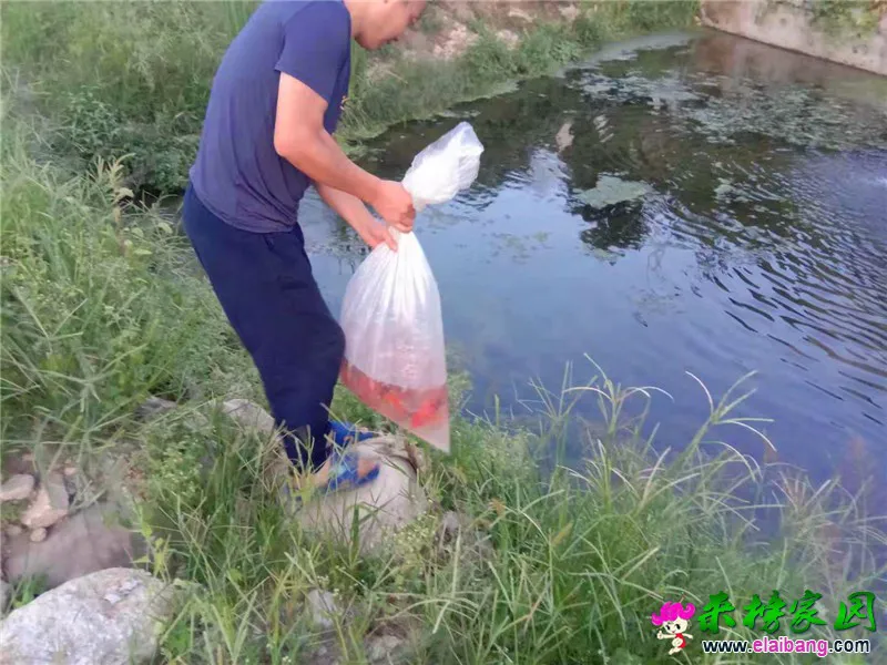 微信图片_20190824211143.webp