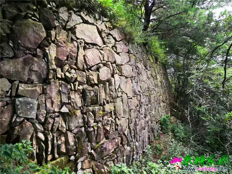 微信图片_20190825210421.webp