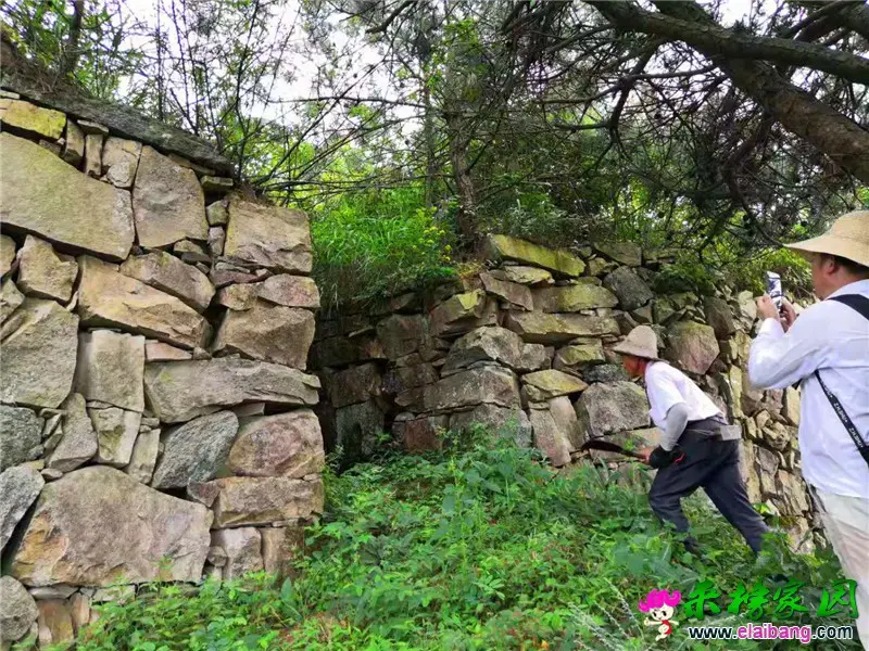 微信图片_20190825210418.webp